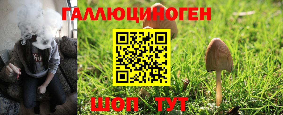 Нижний Новгород  Галлюциногенные грибы GOLDEN TEACHER  Вход с VPN  Галлюциногенные грибы MAGIC MUSHROOMS 