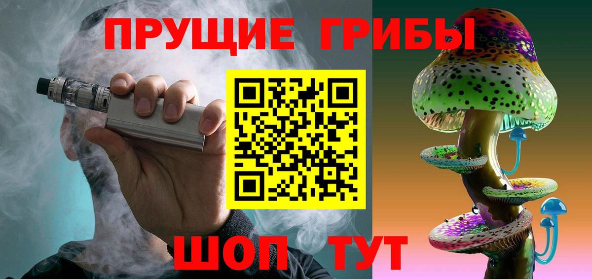 Галлюциногенные грибы Psilocybine cubensis Нижний Новгород